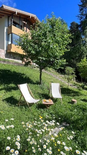مبيت وإفطار لا كومبريسيتا Casa Raiz Cumbrecita المظهر الخارجي الصورة