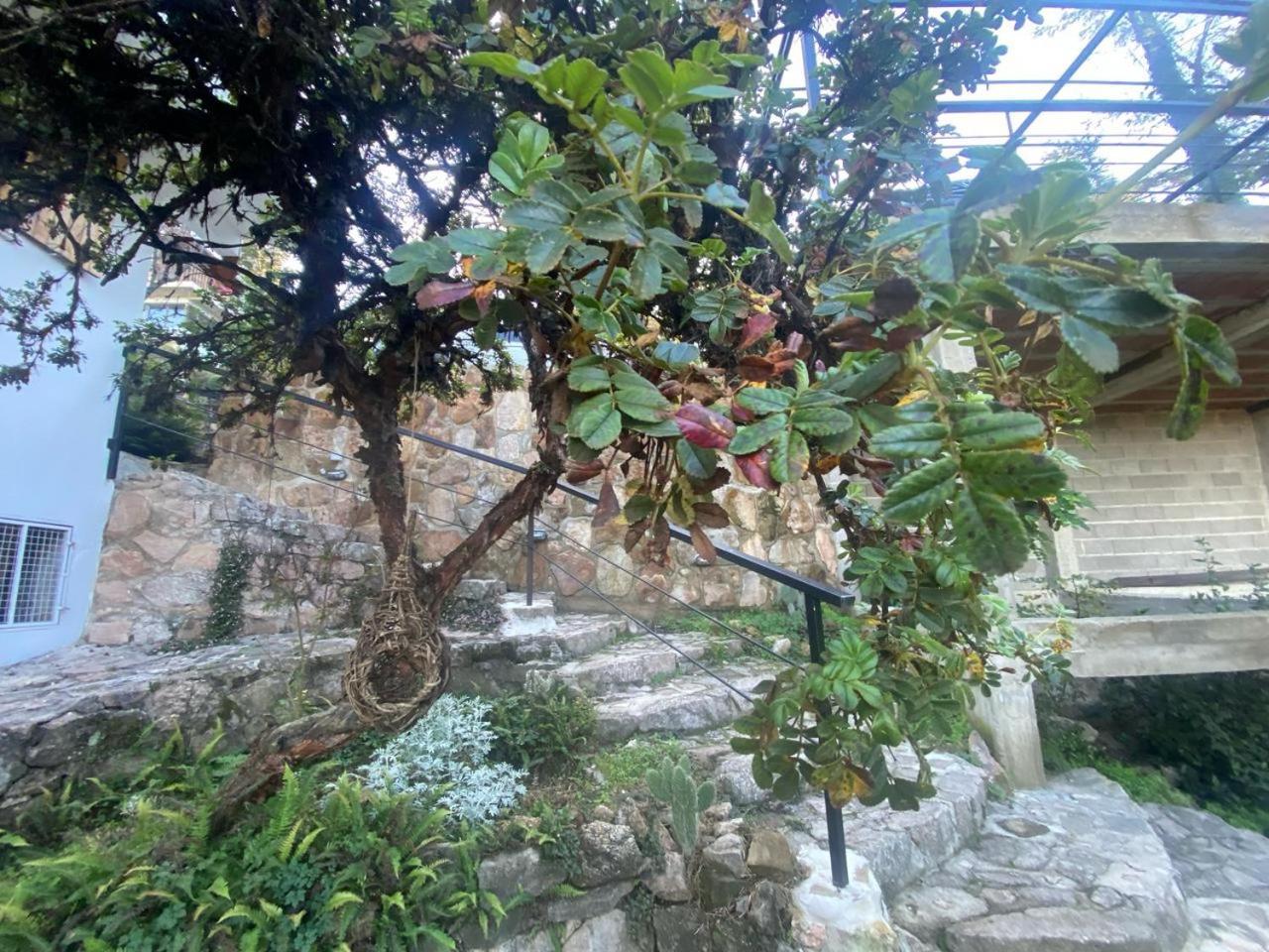مبيت وإفطار لا كومبريسيتا Casa Raiz Cumbrecita المظهر الخارجي الصورة